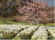 Antonio Mancini Spring blossom oil painting reproduction